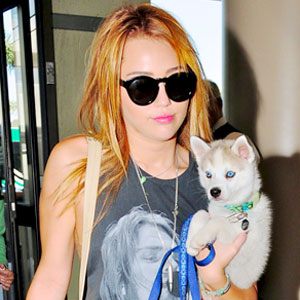 Miley Cyrus Miley Cyrus